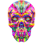 FULL COLOR PSYCHO